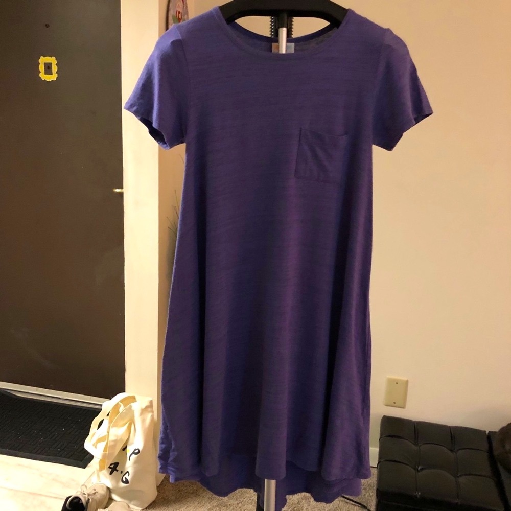FINAL OFFER / LuLaRoe Carly Dress Sz. XXS